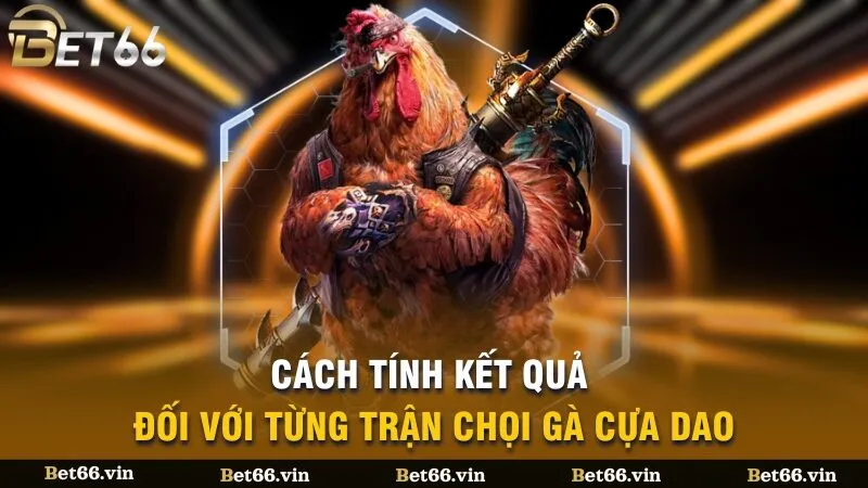 Cách tính kết quả đối với từng trận chọi gà cựa dao