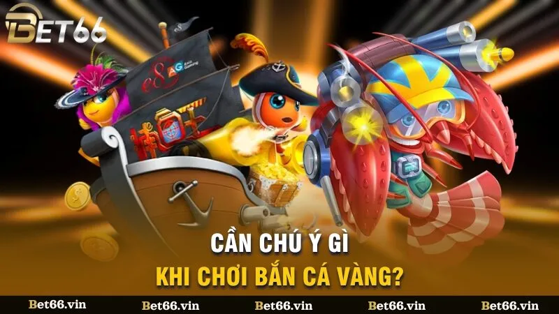 Cần chú ý gì khi chơi bắn cá vàng?