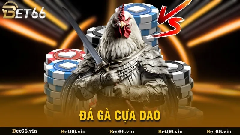 đá gà cựa dao