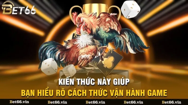 Kiến thức này giúp bạn hiểu rõ cách thức vận hành game