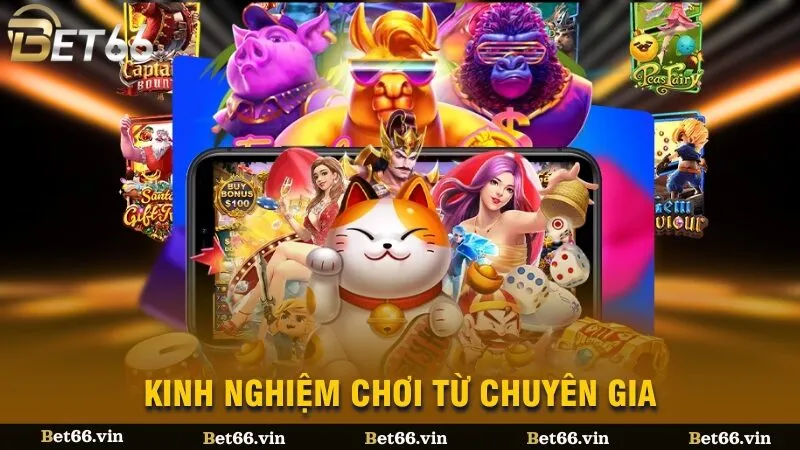 Kinh nghiệm chơi từ chuyên gia