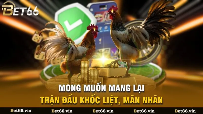 Mong muốn mang lại trận đấu khốc liệt, mãn nhãn