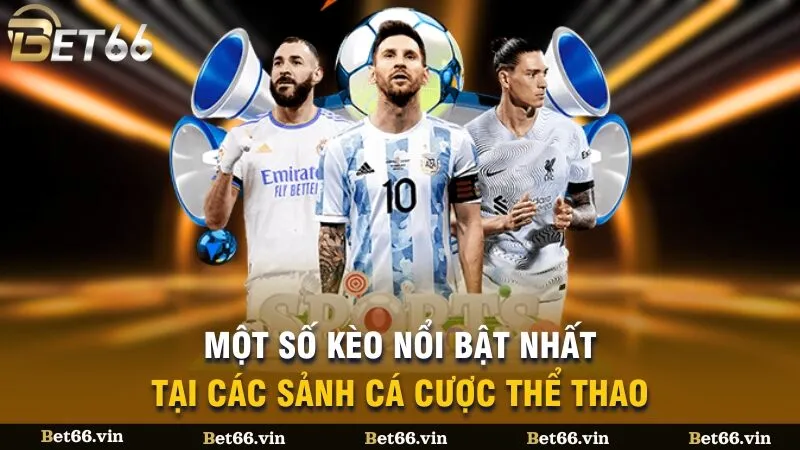 Một số kèo nổi bật nhất tại các sảnh cá cược thể thao