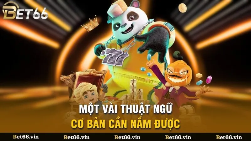 Một vài thuật ngữ cơ bản cần nắm được