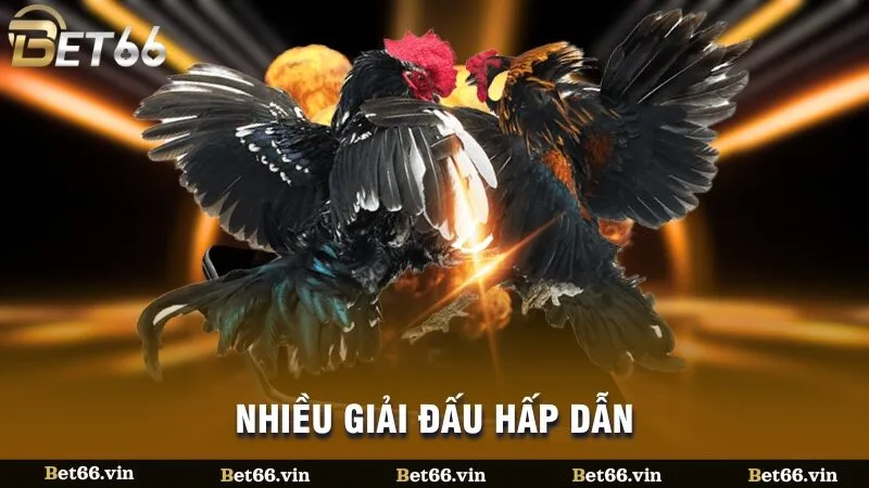 Nhiều giải đấu hấp dẫn