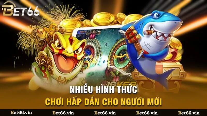 Nhiều hình thức chơi hấp dẫn cho người mới