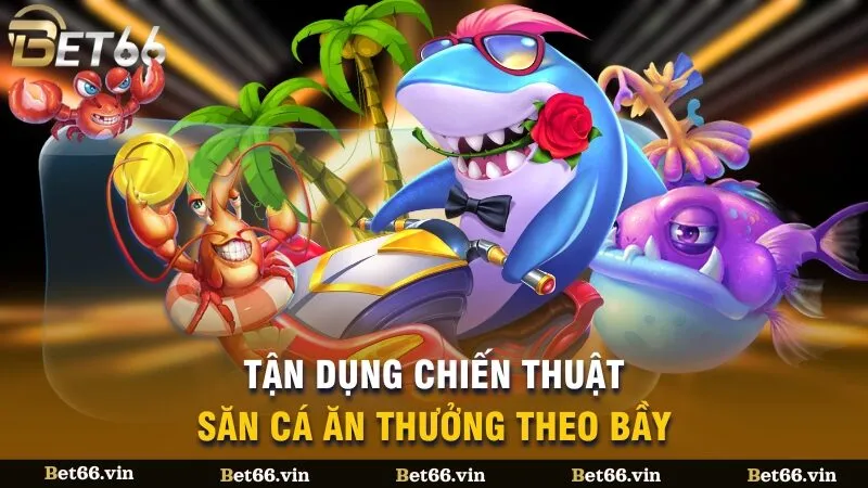 Tận dụng chiến thuật săn cá ăn thưởng theo bầy